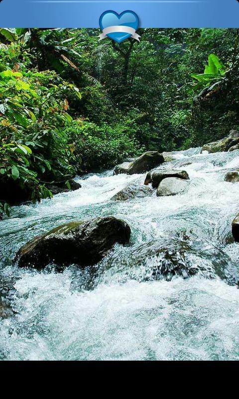加勒比海度假村