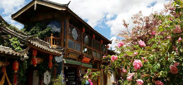 虫虫助手下载