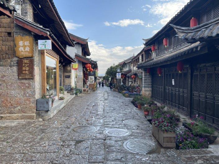 小狗救援行动选关版